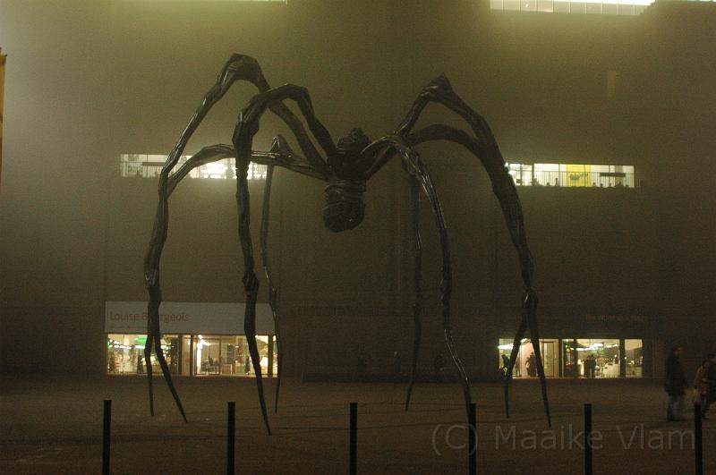 Spider Tate.JPG - (C)M.Vlam 2007 maaike.vlam@gmail.com